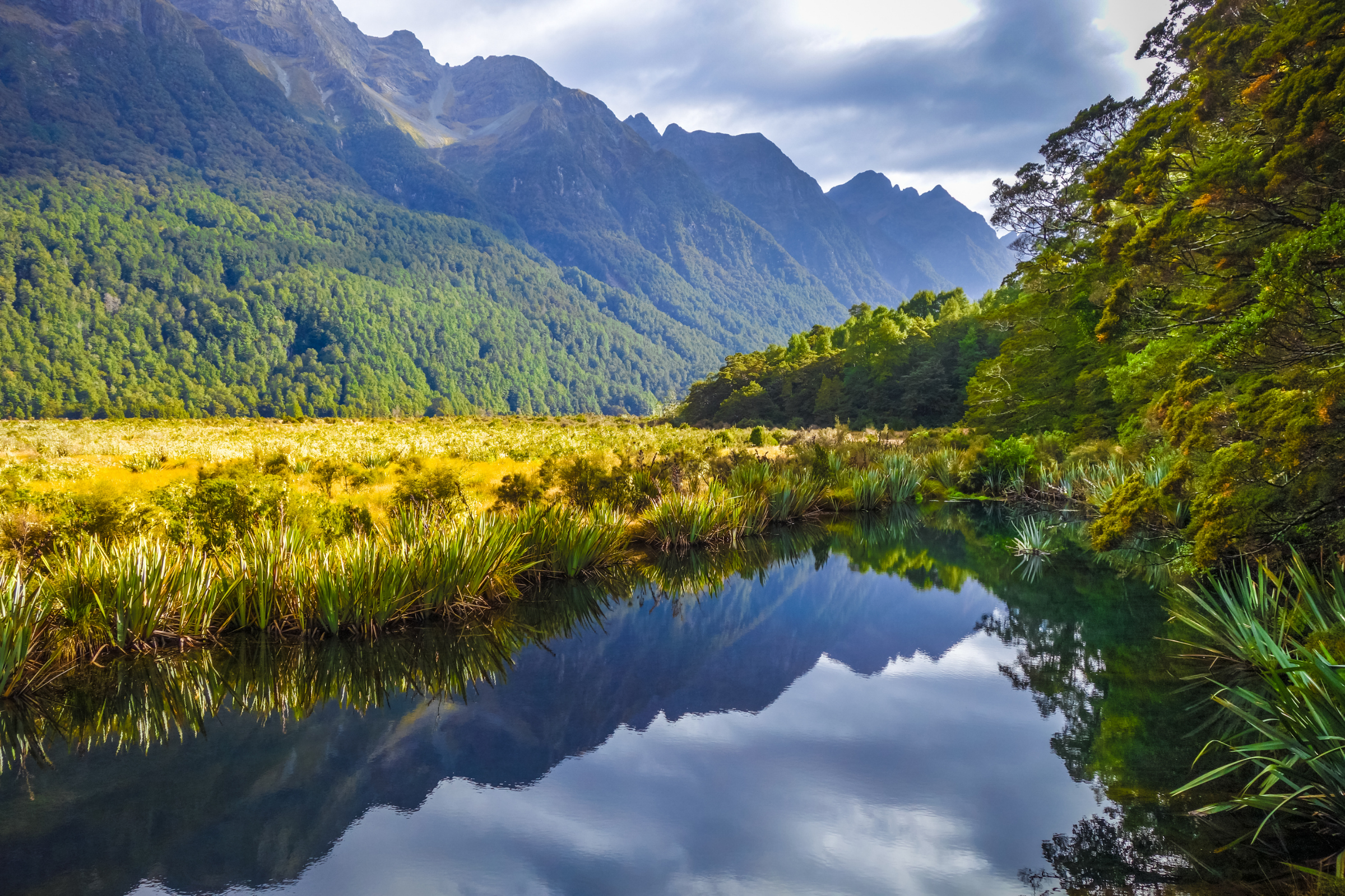 supper cove, fiordland national park.webp